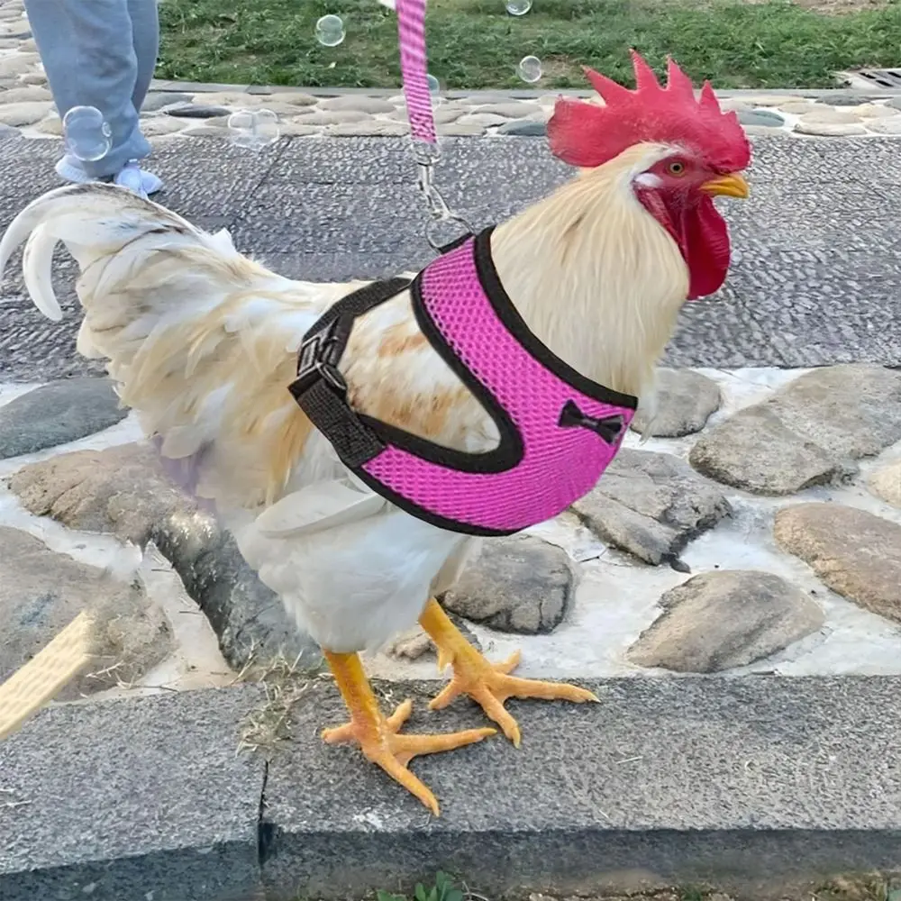 휴대용 통기성 조절 가능한 오리/닭 하네스와 어울리는 목줄, 편안한 오리 조끼, 리본 장식 부드러운 닭 조끼, 오리 조끼