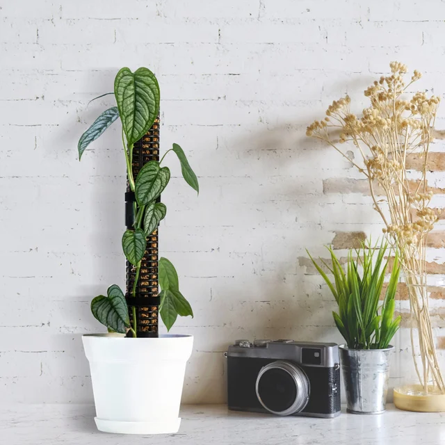Moss Pólus A Mászó Növényekhez Egymásra Rakható Mohás Bothoz Cserepes Növények Monstera Moha Vasúti Növény Felfelé Termeszthető - Image 5