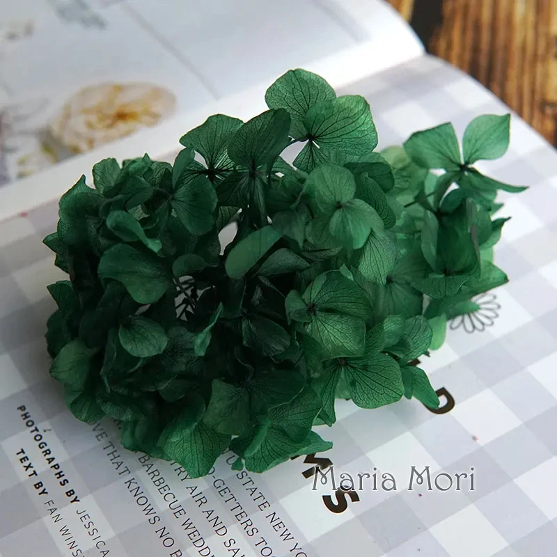 thumbnail image 1 of Nueva variedad de flores secas de hortensia de pétalos grandes, flores preservadas de macrophylla, decoración para el hogar y la oficina, decoración de bodas, regalo, 1 of 5