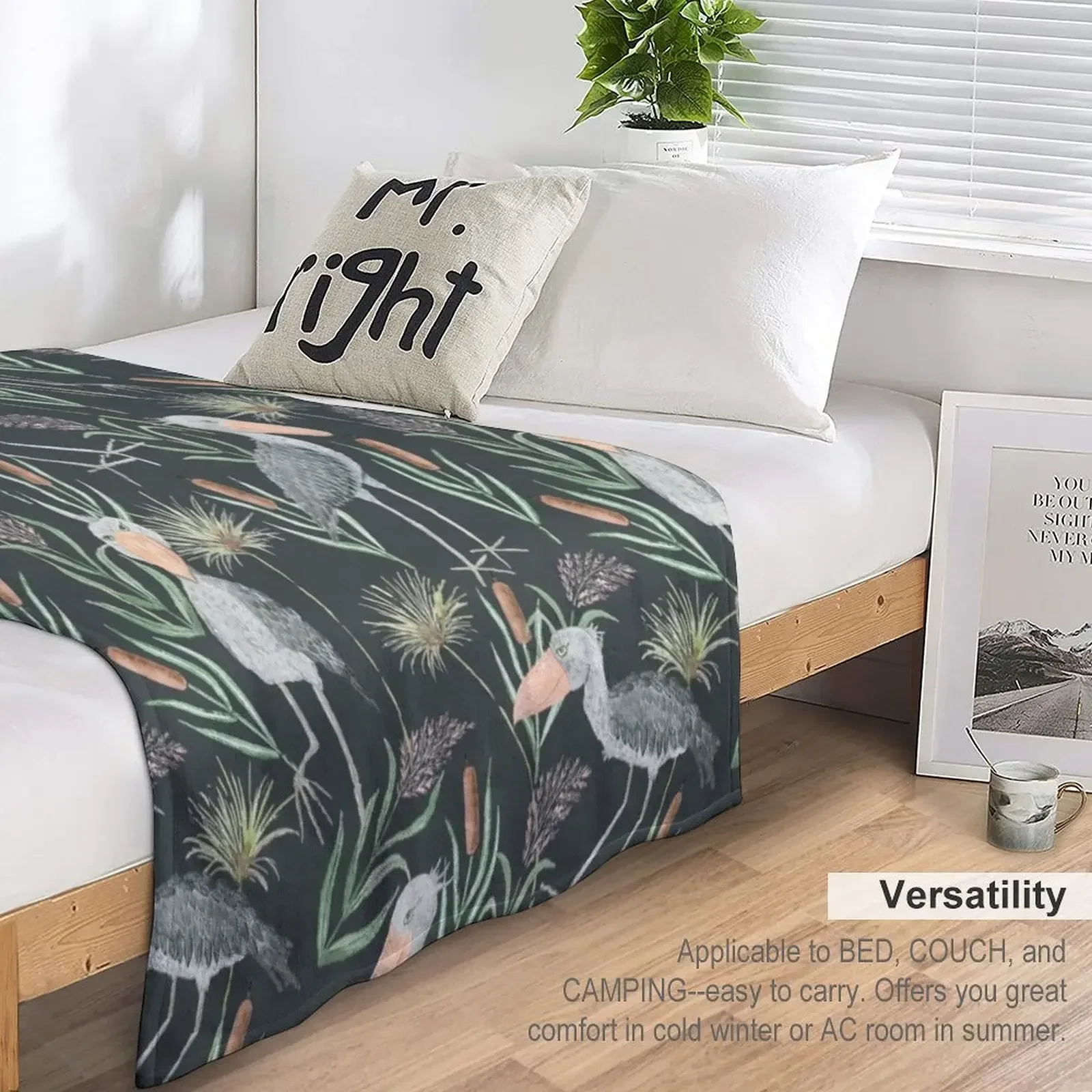 ȭ���� ��äȭ ���� ������ ���, ħ�� ũ�������� ���� ���