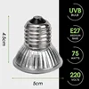 5-1PCS UVA+UVB Reptile Lamp Bulb Turtle Basking UV Light Bulbs Chicken Farming Heating Light Temperature Controllers Solar Lamps 6