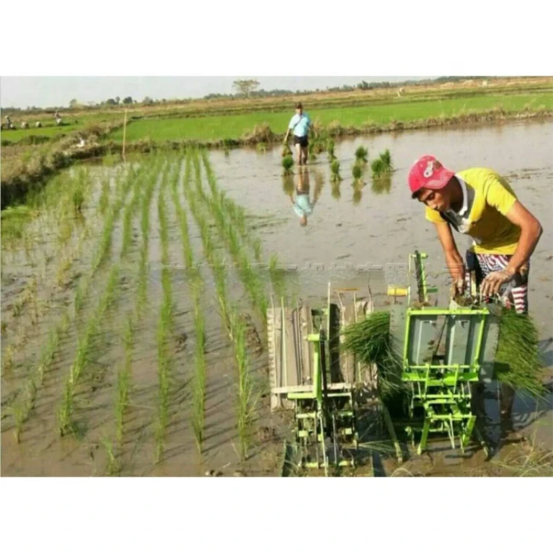 

Small hand-cranked rice transplanter double-row manpower step-back rice planter rice field seedling planter