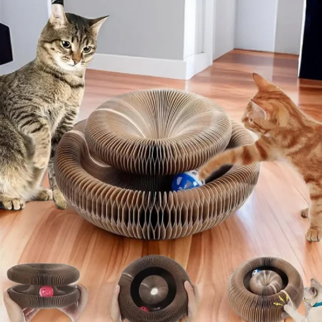 Kitten Curl Toy Foldable Magic Organ Cat Scratching Board Durable Recyclable Cardboard Cat Scratcher Cat Bed Interactive Scratch