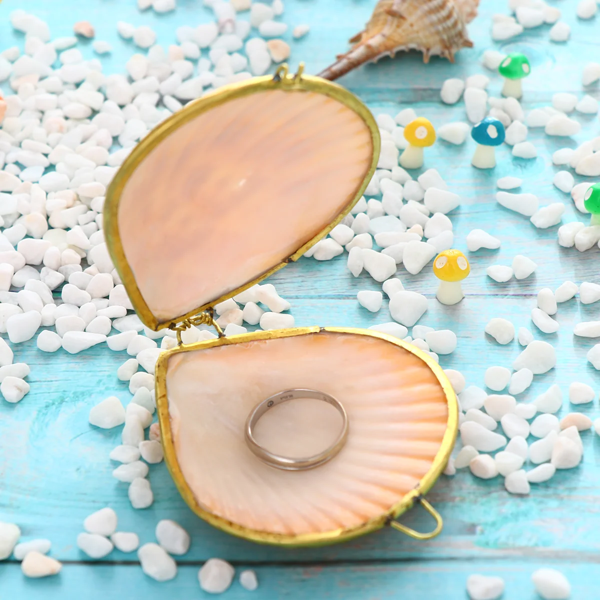 Shell Style Jewelry Box Ring Earring Container Necklace ganizer