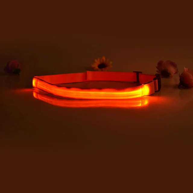 LED 파티 장식 조명 벨트