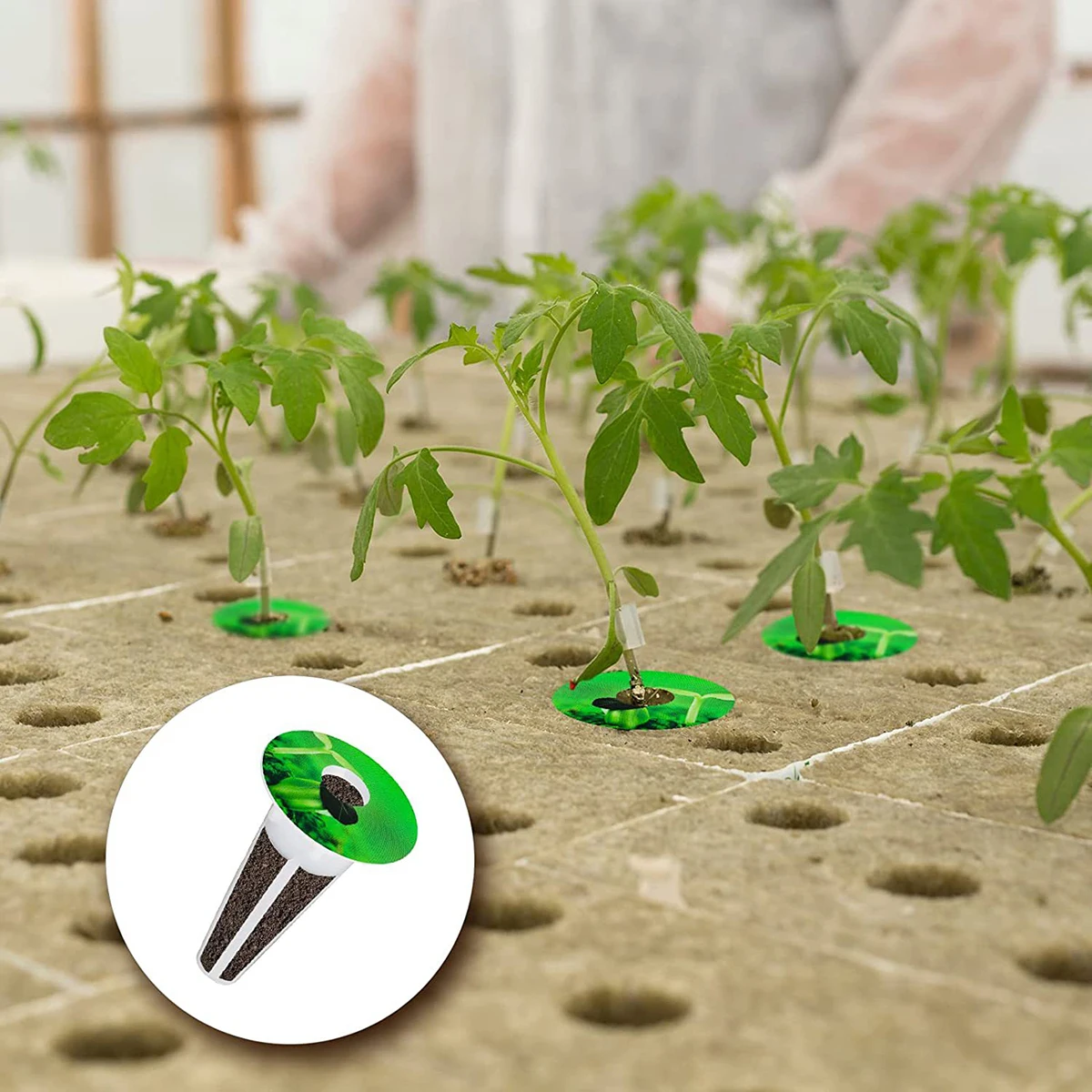 100Pcs Hydroponic Plant Labels Waterproof Seed Pot Labels for Mark Plants and Understand Plant Growth Seedlings Grow Baskets
