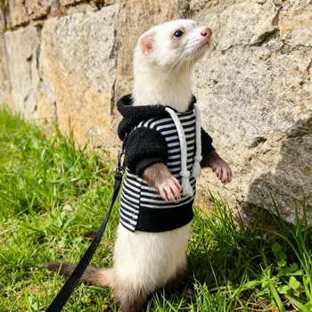 Lizard Jacket Elastic Ferret Hoodie 1