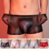 Sissy Full Transparent Briefs High Elastic Underwear Gay Man Ultra Thin Mesh Silky Panties Oil Shiny Penis Pouch Underpants 1
