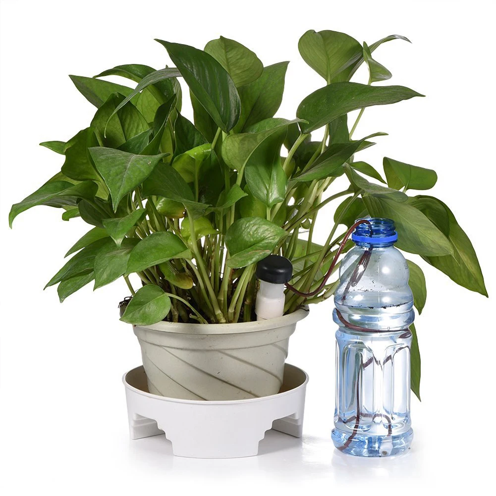 8pcs Self-Watering Auto Plant Waterers Drip Irrigation Watering System Automatic Indoor Plant Watering Device for Houseplant