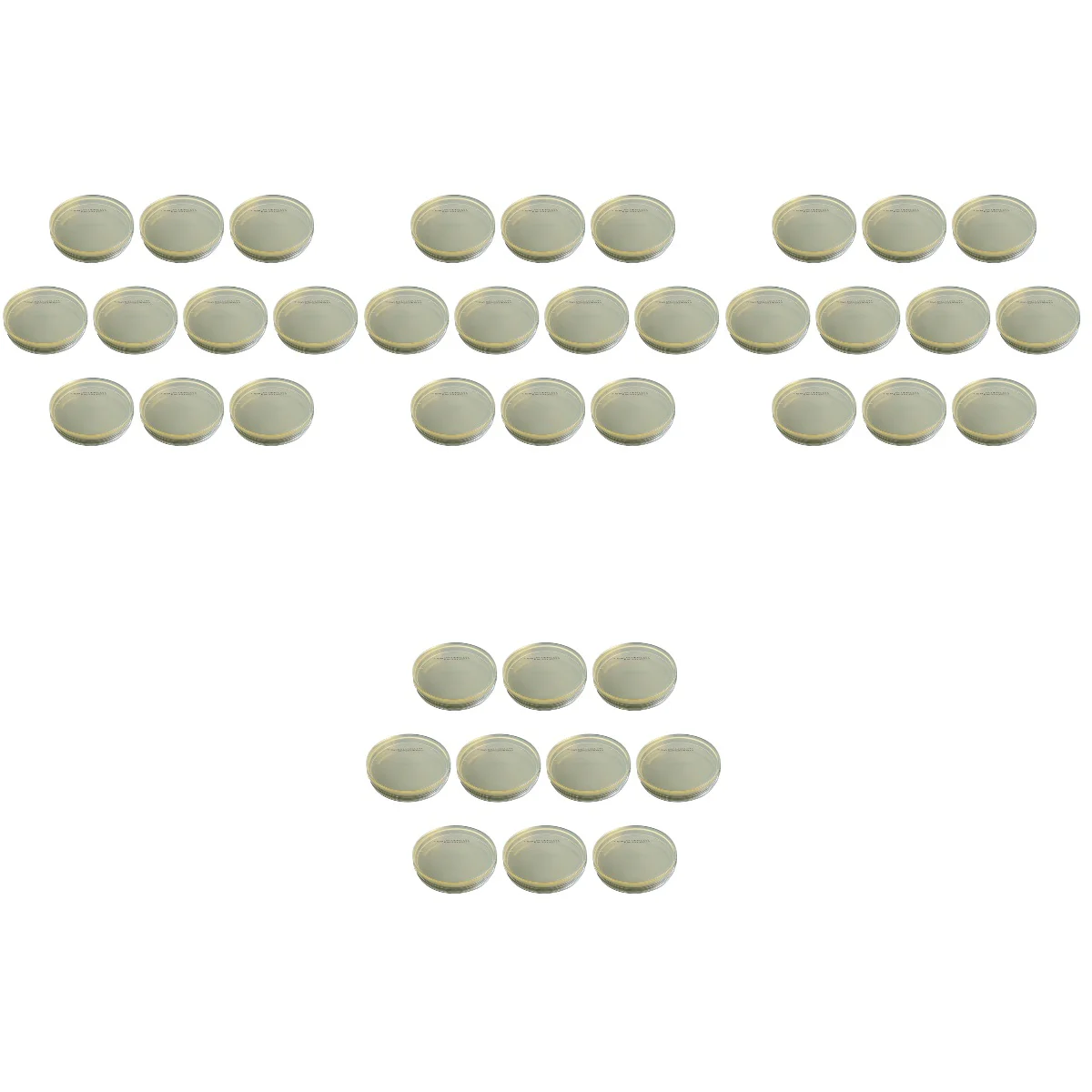 

40 pcs Petri Dish Set with Lid Perfect for School Science Fair Projects
