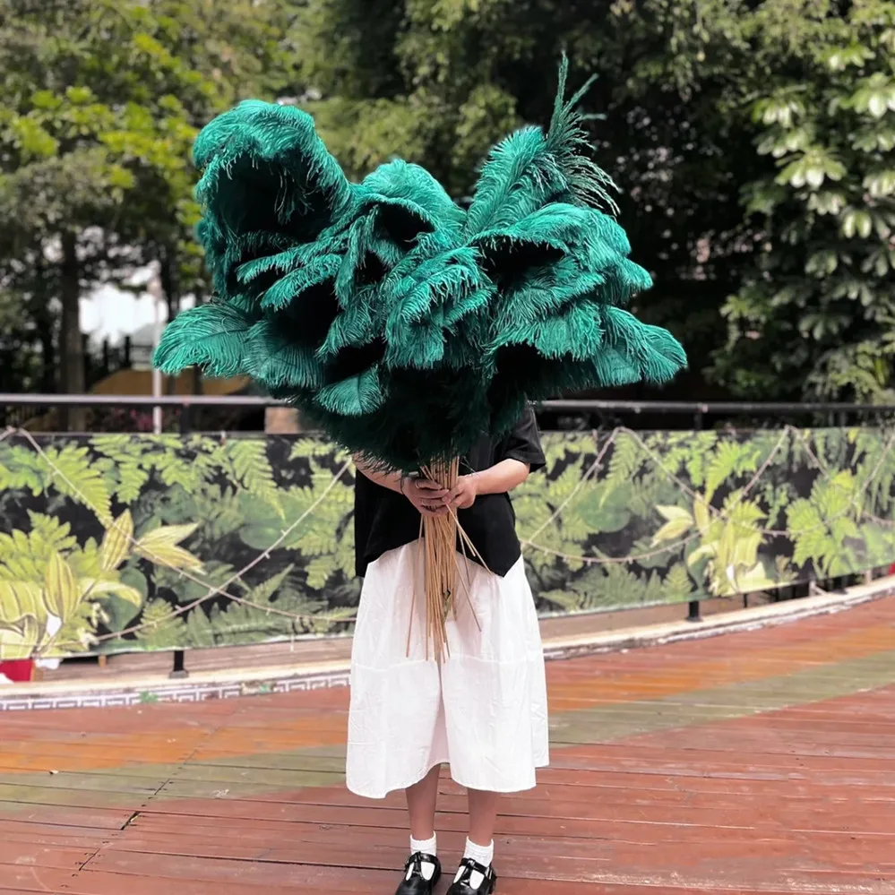 10Pcs/Lot Colored Ostrich Feathers for Crafts 35-40CM 14-16 Feathers  Ostrich Plumes Home Wedding Decoration Carnaval Assesoires - AliExpress