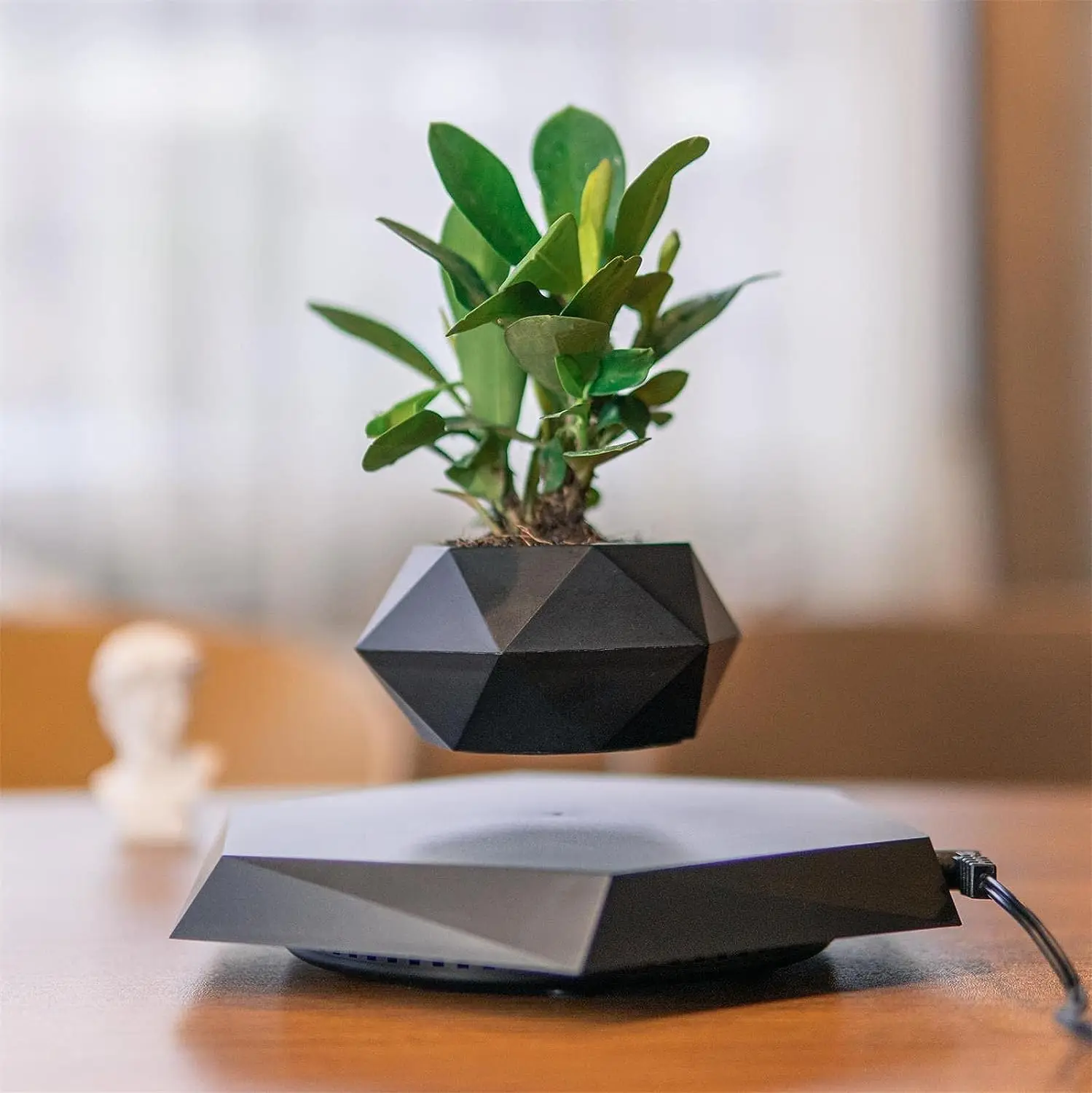 

Floating Plant Pot Levitating Plant Pot for Succulents air Bonsai Plants Floating Planter for Home Office Desk Levitating Decor