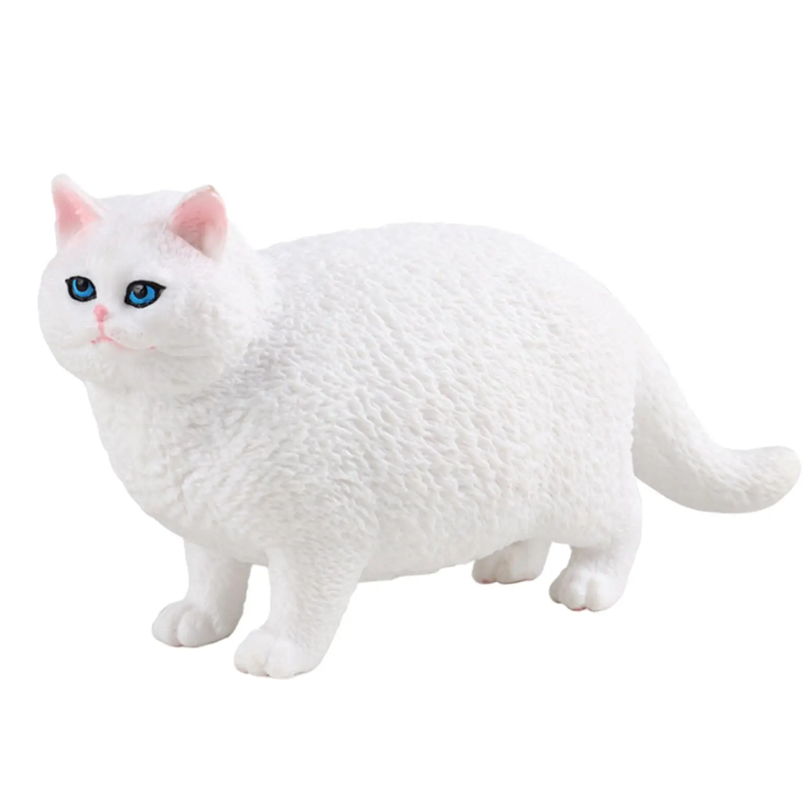   Ի  峭   ̴Ͼó å ,  ȣ ڴ  Ƽ 