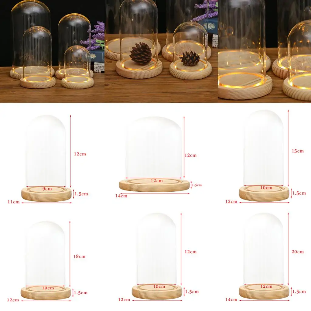 Clear Glass Dome with LED Base 2