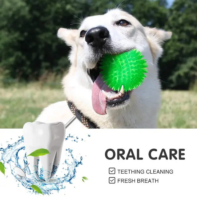 S2ed95176146c45c2992a4dcd9b84bc5ay.jpg 3/6Pcs Squeaky Dog Ball Toys,Dog Chew Balls for Boredom, Floatable Pool Dog Toys,Puppy Teeth Cleaning Toys for Small Medium Dogs