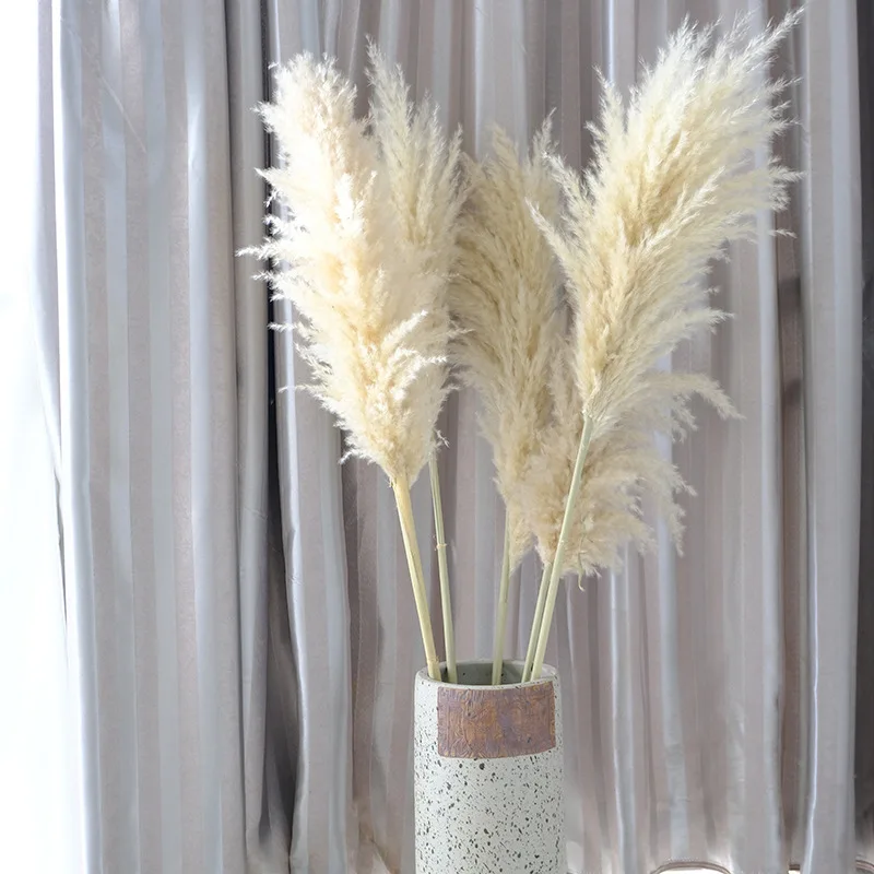 80Cm Large Pampas Grass Flowers Bouquet Fluffy Dried Floral Decoration - 5Pcs