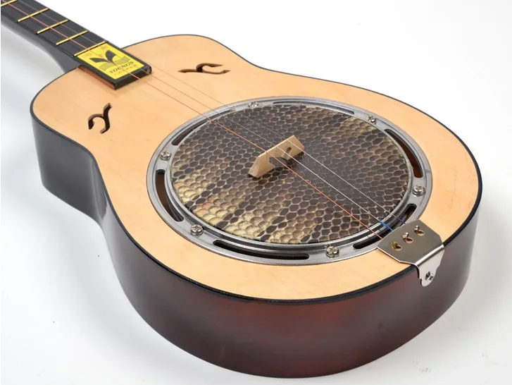 Qinqin gourd shape Chinese stringed instrument