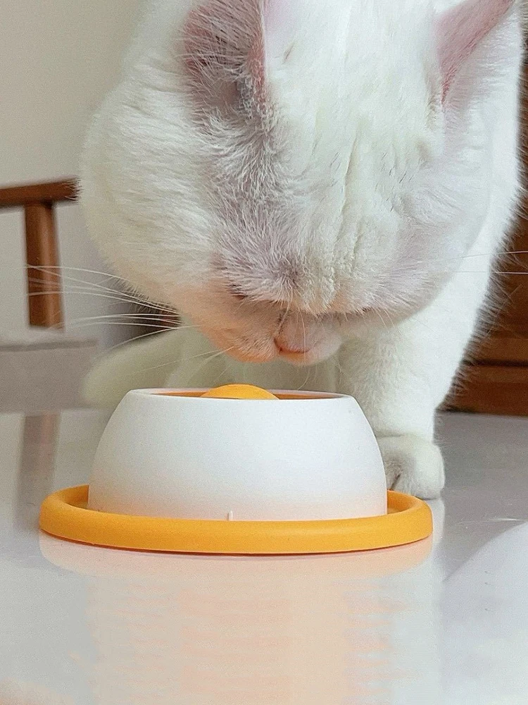 Anti Knock Food Plate