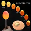LED Super Cold Light Incubator Eggtester Egg Candling Lamp Equipment Stainless Steel Flashlight Poultry Incubation Chicken Duck 6