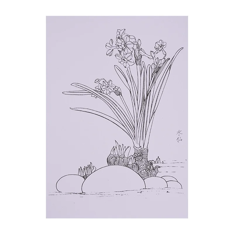 중국화 입문, 흰색 그림 그리기, 복사 앨범, 그림 원고, 그림 재료, 색칠 공부 책