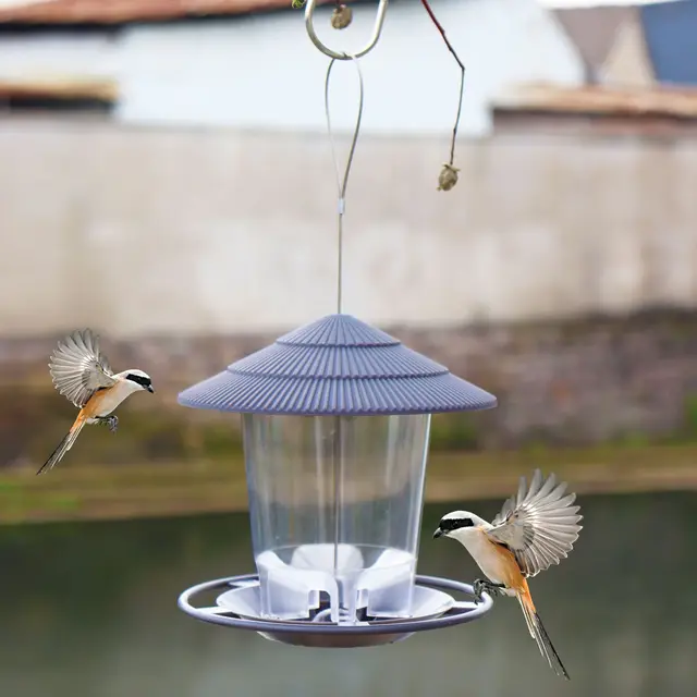Adoprateur D'oiseaux Hanging Seed Stewder Aiding Food Contenner