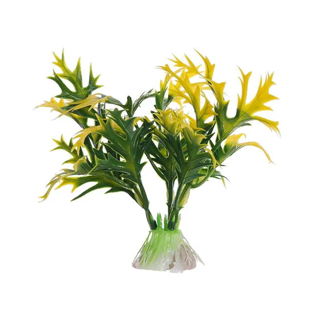 Image 23