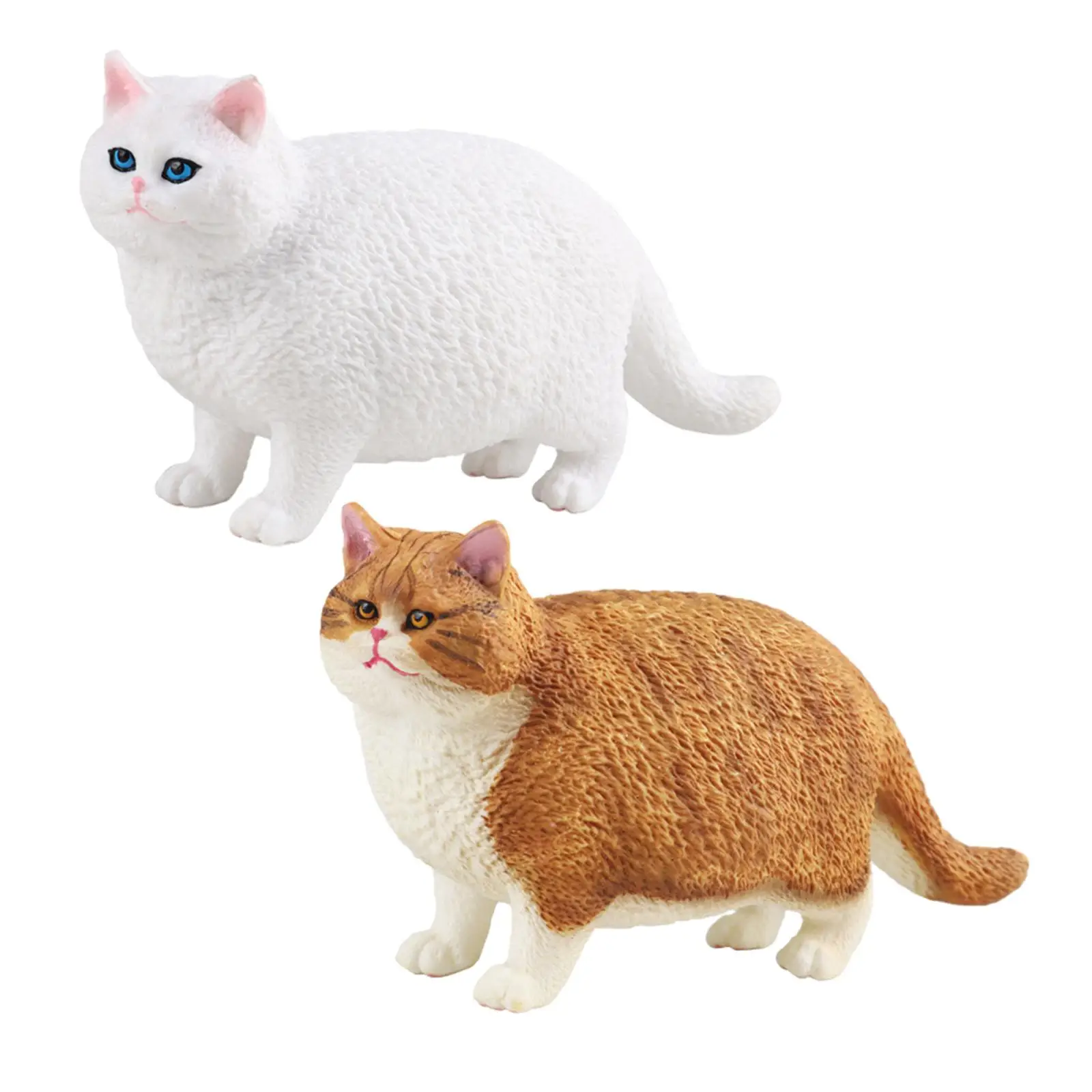   Ի  峭   ̴Ͼó å ,  ȣ ڴ  Ƽ 