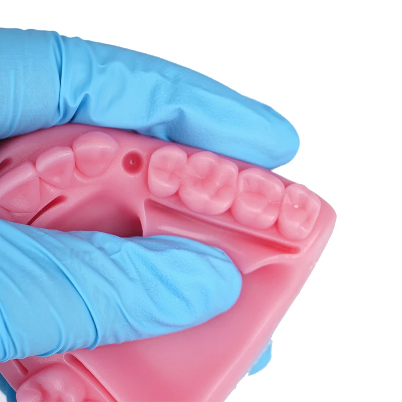 치과 구강/잇몸 봉합 수술 연습용 의료용 피부 봉합 패드 모델 실리콘 치주염 봉합 모델 봉합 연습 키트
