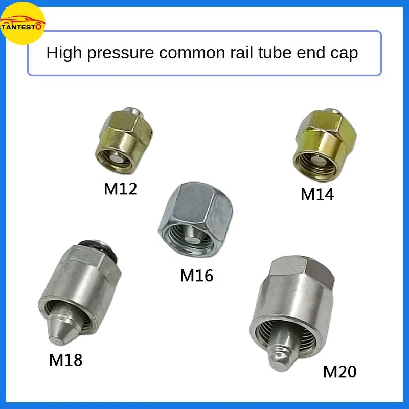 

100PCS Diesel Common Rail Pipe Tube Plug for BOSCH 110 120 RENAULT CUMMINS