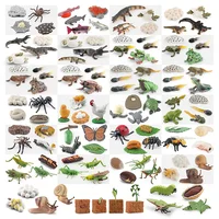 Simulated small animal model toy growth life cycle frog turtle chicken Montessori kindergarten teaching aids 1