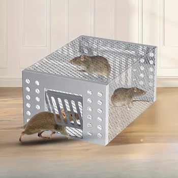 Trappola per topi umana intelligente a doppia porta in acciaio No Kill Live Catch con fori d'aria Trappola per topi efficace trappole per gabbia per mouse sicure e sanitaria