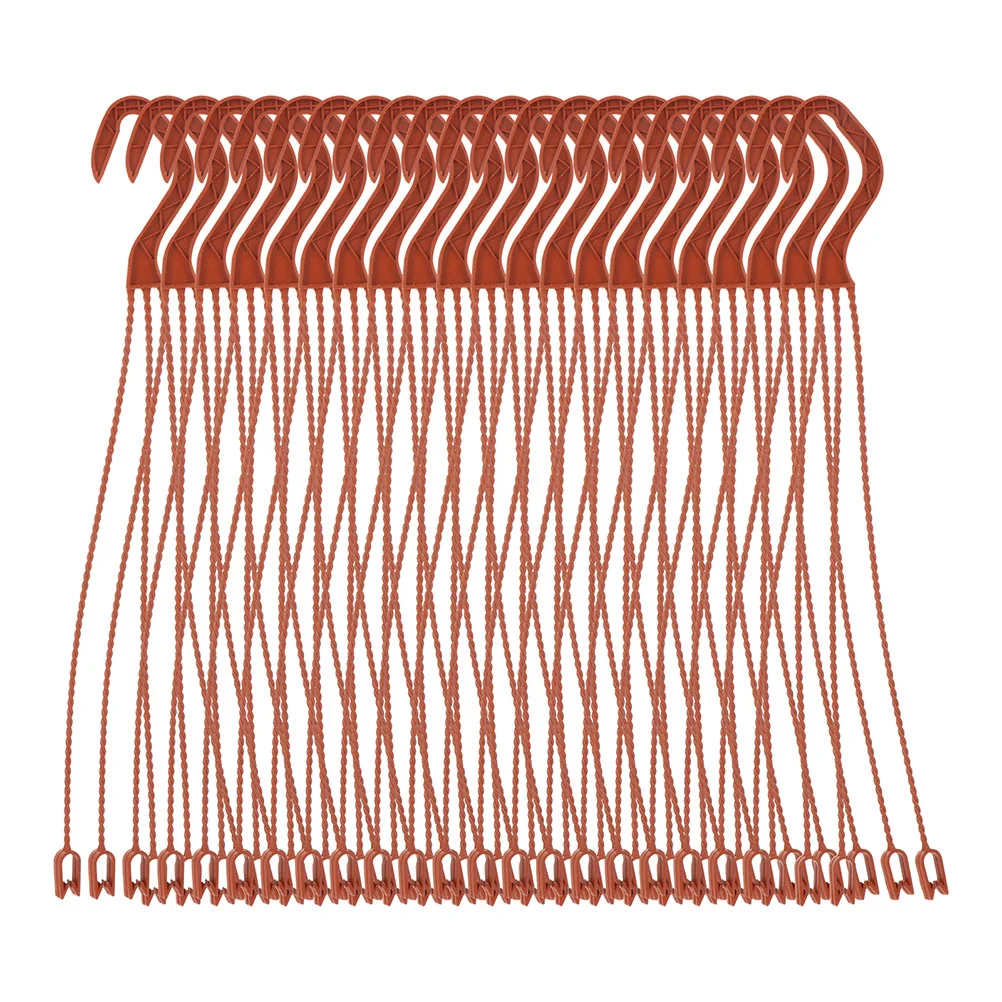 

30pcs Plant Hooks Flowerpot Hangers Plant Load Hooks Chlorophytum Comosum Hooks