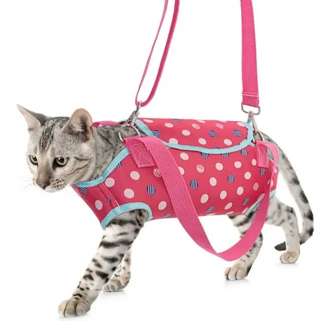 Breathable Pet Carrier Bag for Small Dogs Cats Cozy Puppy Outdoor Travel Handbag Chihuahua Pug Carrier Suit for Pet Accessories 4