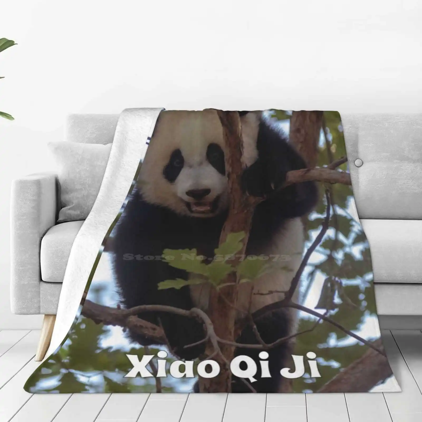  �Ҵ� ���� Qi Ji, �ſ� ������ �ε巯�� ���, ����, ħ��, ����� ���̾�Ʈ �Ҵ�, �Ϳ��� ������