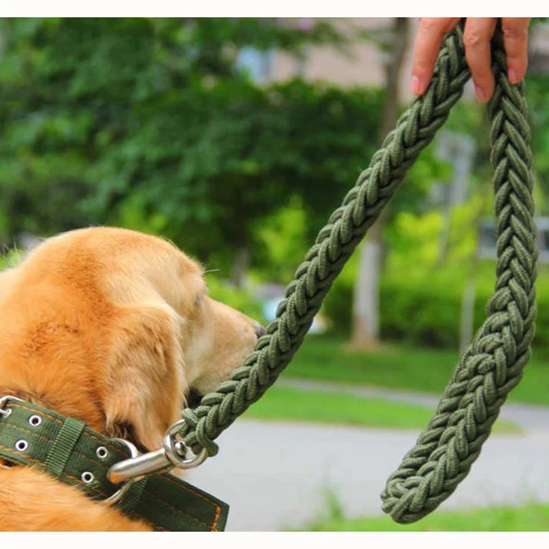 Peitoral e trela em nylon para cães grandes para caminhada_voghion.com