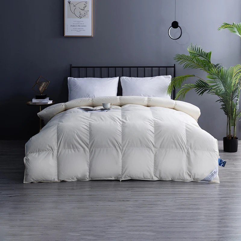 

Cotton Duvet 95 White Goose Down Quilt Winter Thickening Quilt Single Double Quilt Core