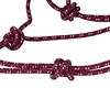 Cavpassion-Red Horse Bridle, Horse Halter, Blue Horse Halter with Leading Rope, Purple Riding Horse Halter 3