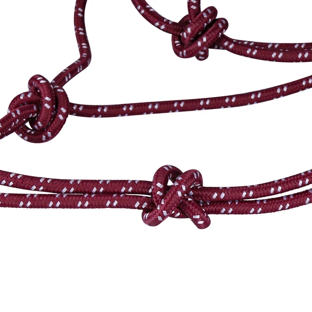 Cavpassion-Red Horse Bridle, Horse Halter, Blue Horse Halter with Leading Rope, Purple Riding Horse Halter 3