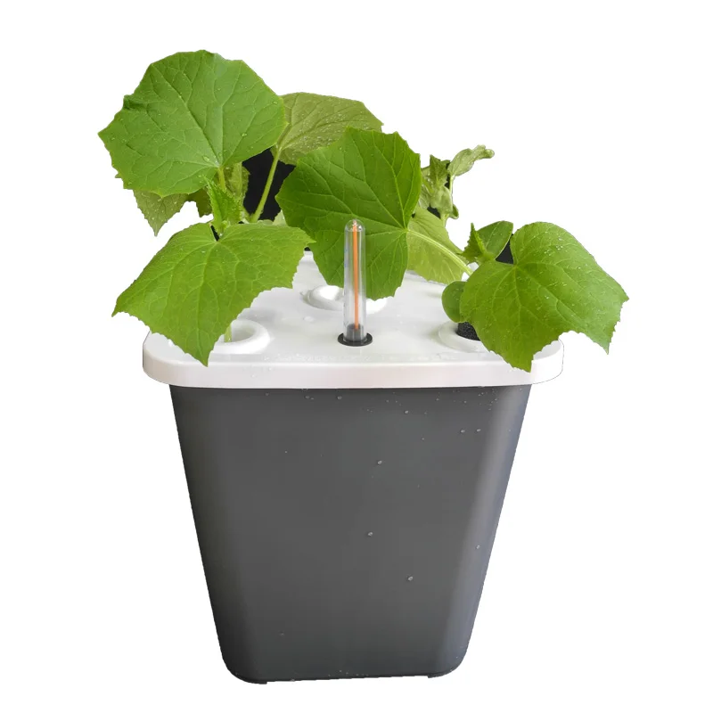 DIY Home Soilless Cultivation Equipment Balcony Vegetable Hydroponic Bucket Cucumber Tomato Plant Growth Hydroponic System hydroponic gardening kit hydroponic planting tools