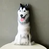 2023 HOT 50cm 3D Lifelike Animal Cute Bend Dog Printed Throw Pillow Funny Dog Head Cosplay Favorite Toy Cushion for Home 6