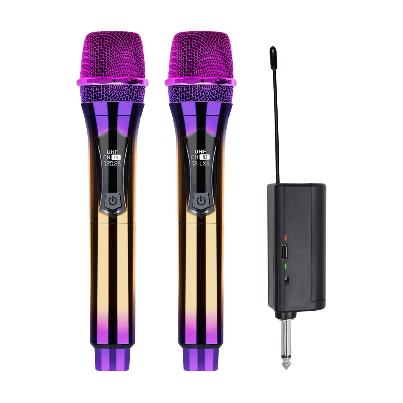 Professional Wireless Microphone UHF Fixed Frequency 2 Channel Handheld Device for Party Lecture Church Stage Performance
