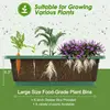 Vertical Raised Garden Bed Planter Box5 Tiers Vertical Garden Planter with Drainage System&4 Hooks for Plants Vegetables Flowers 6