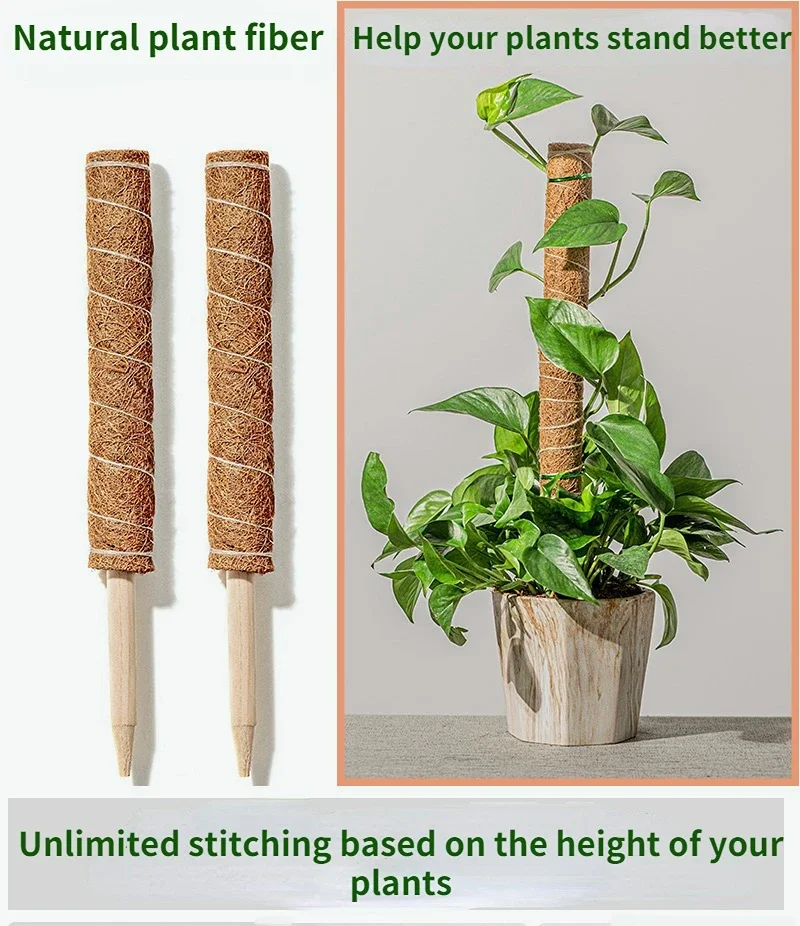 Plant Climbing Support Plant Support Stick Coconut Palm Sticks for Gardening