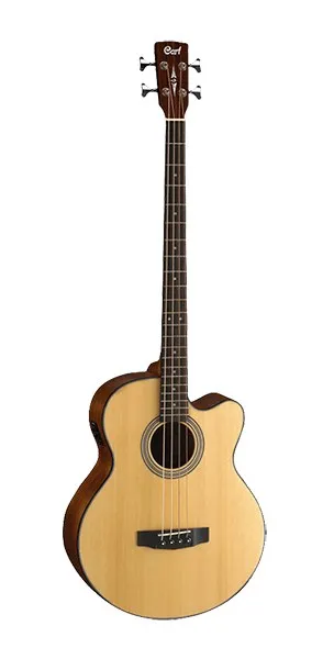 Cort SJB5F-NS electroacoustic with bag |