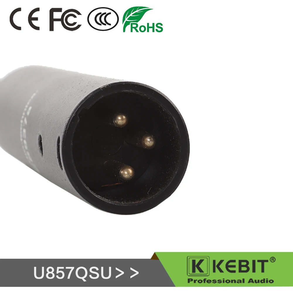 Hyper-directional gooseneck conference microphone U857QSU