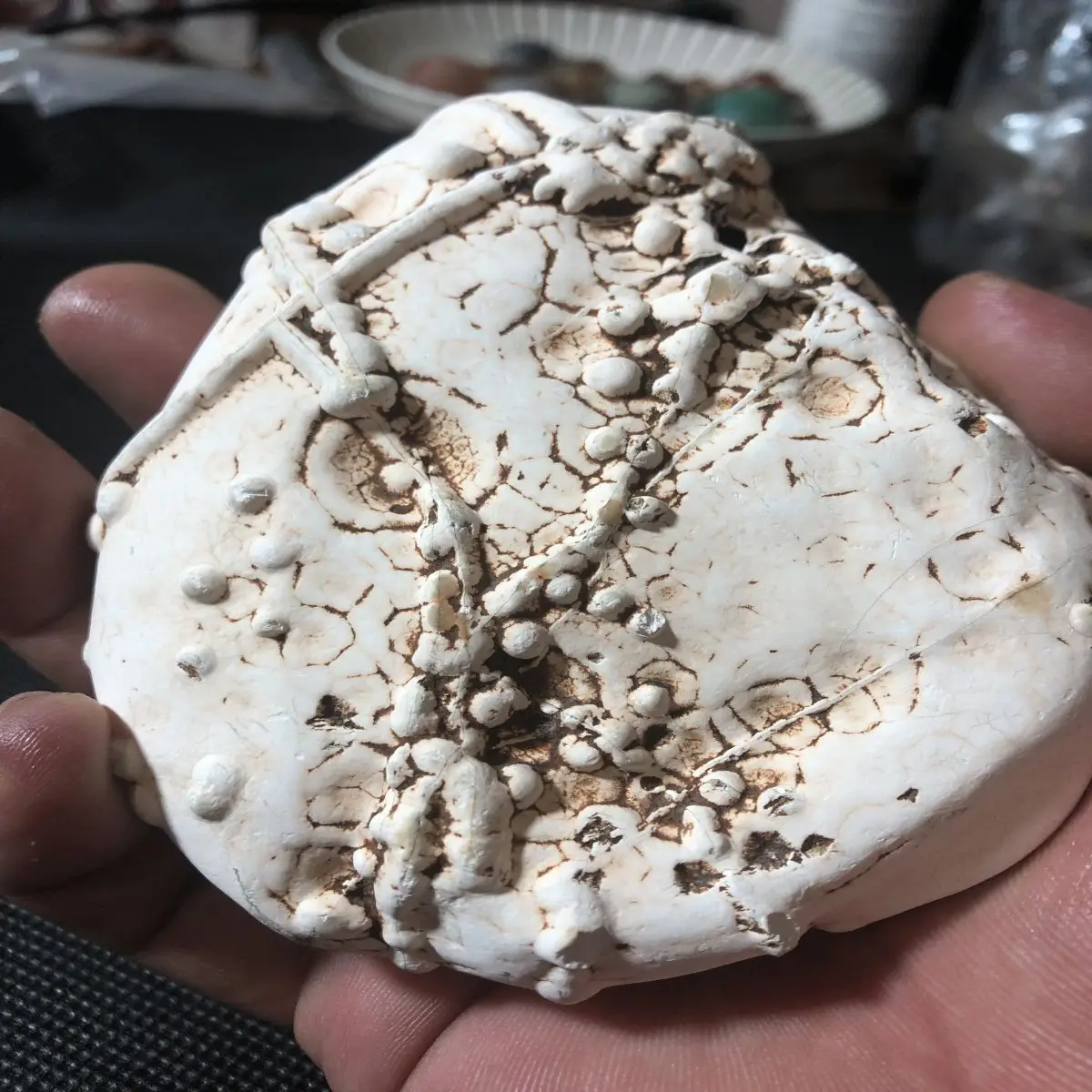 1Pcs Natural Crystal Agate Stone White Skin Veins Stone Exquisite Vein Texture Clear Collection Maintenance High