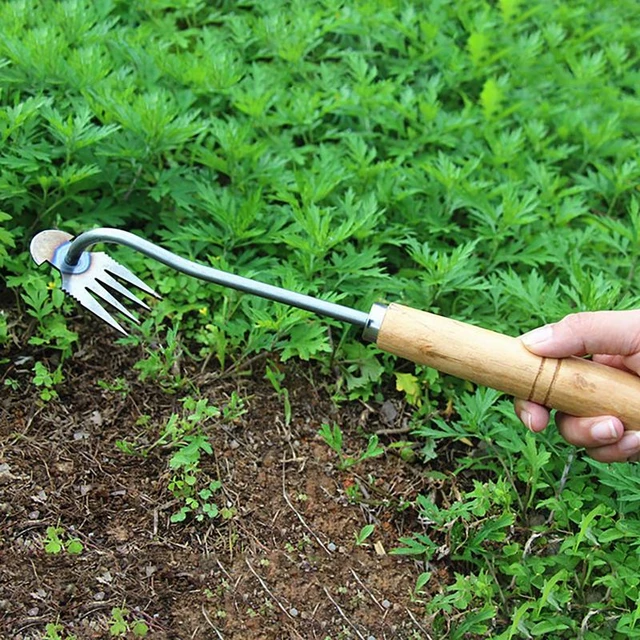 1PCS Hand Weeder Tool Weeds Puller Remover Gardening Tool Hook Grampas  Weeder Garden Weed Grass Removal Digging - AliExpress