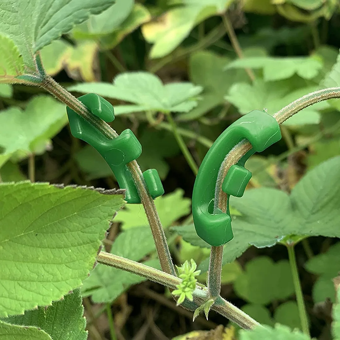 Plant Clips 36 Pcs For Low Stress Training