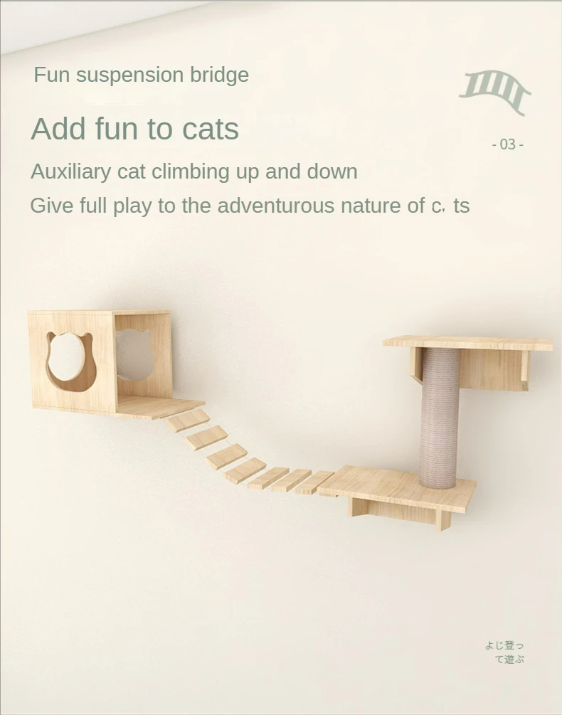 S2f0196245ea54f8abd5315850e20899dG