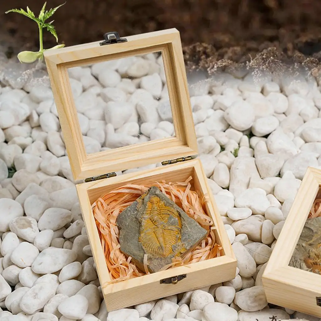 S2f023465cb464983ba51080d7f0a9